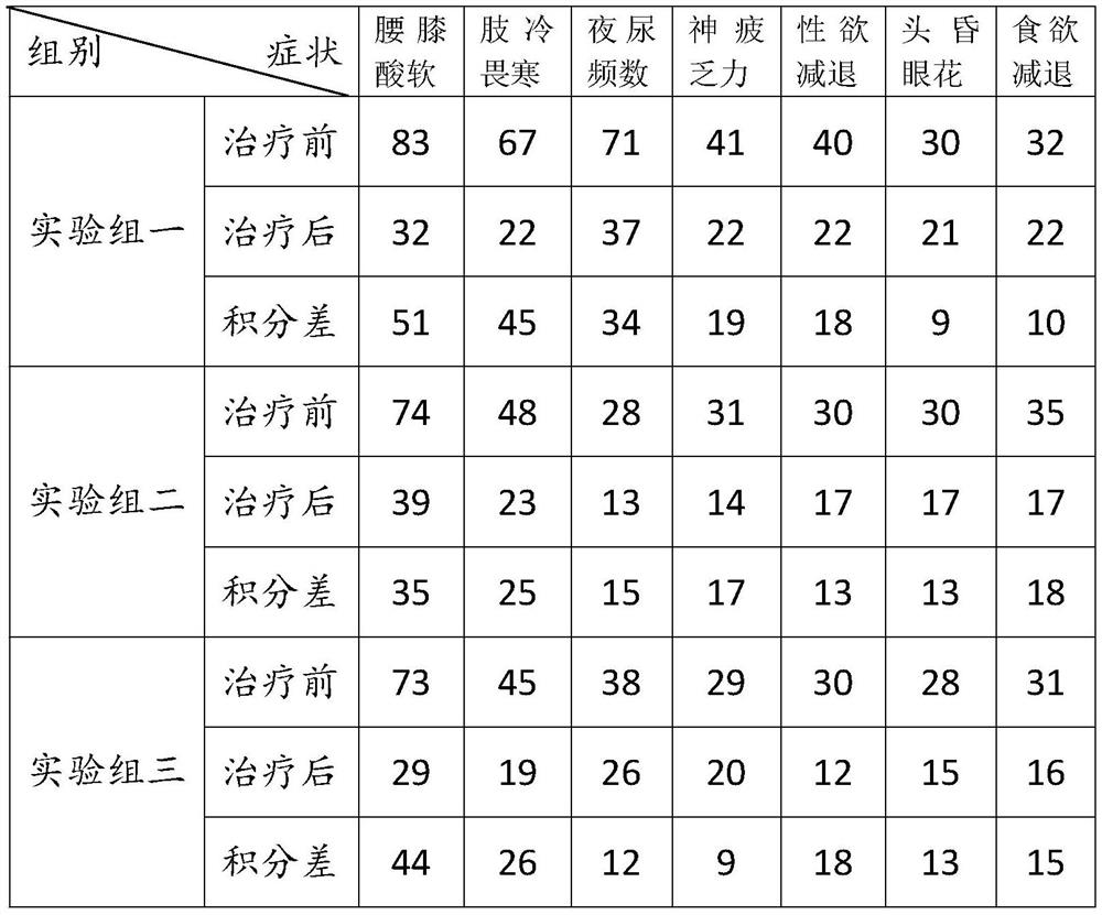 Traditional Chinese medicine pill for treating deficiency and hundreds of injuries and preparation method of traditional Chinese medicine pill