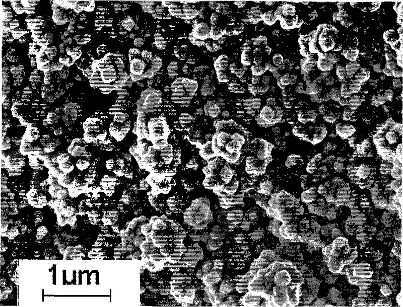 Method for preparing platinum catalyst by electrodeposition