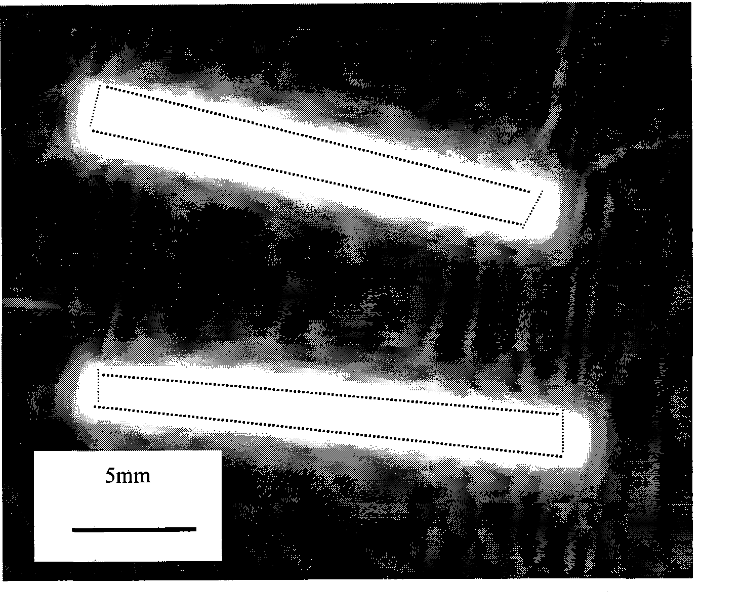 Method for TiNi alloy stent with phosphorus injection and slow neutron irradiation activation