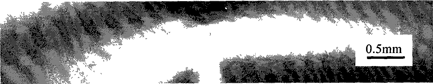 Method for TiNi alloy stent with phosphorus injection and slow neutron irradiation activation