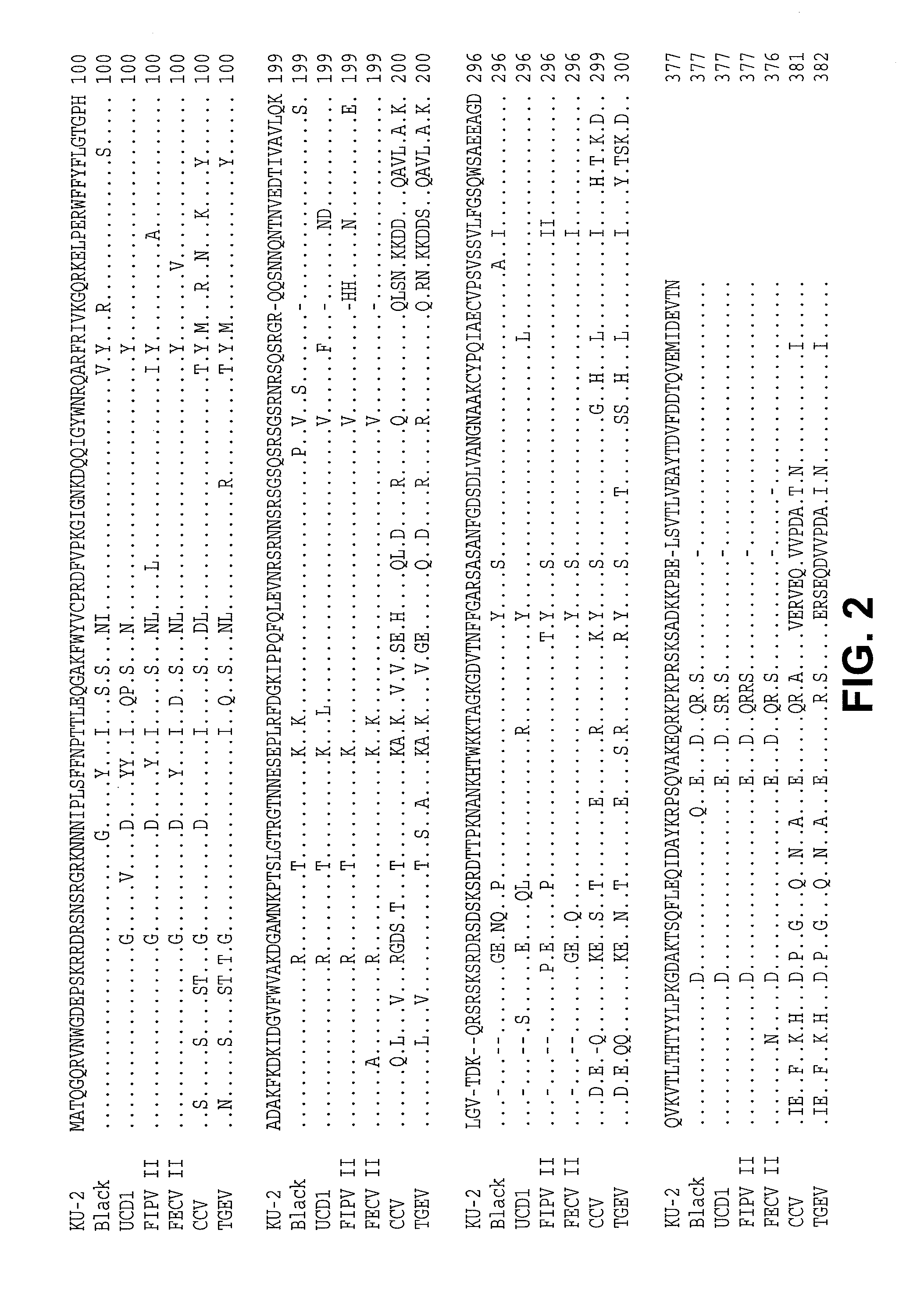 Feline infectious peritonitis vaccine