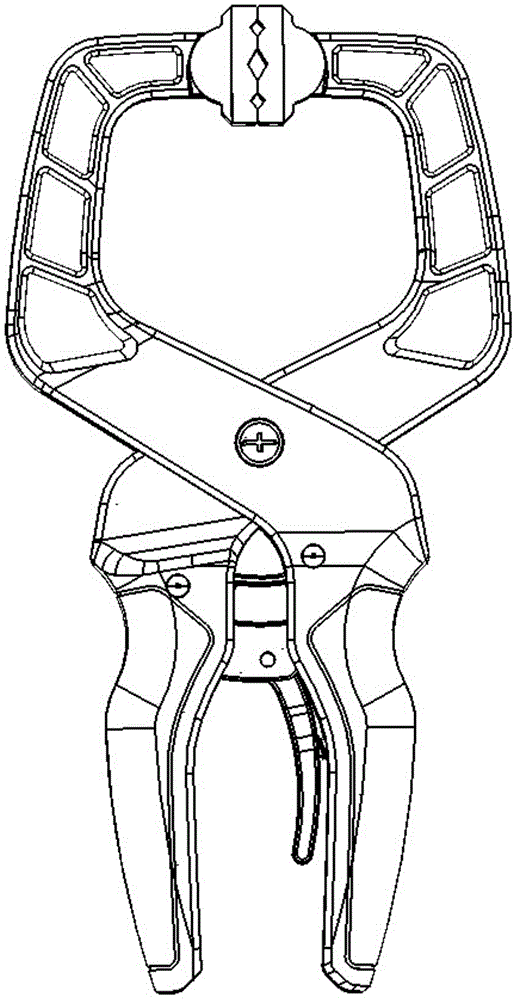 Ratchet clamp