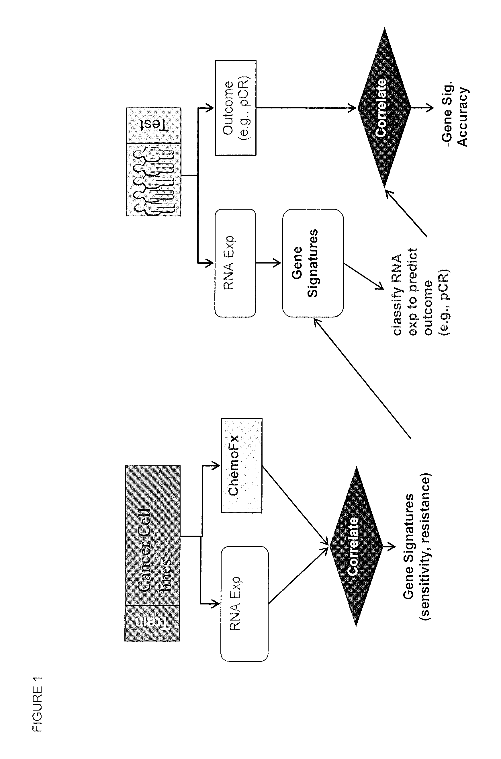 Methods and systems for evaluating the sensitivity or resistance of tumor specimens to chemotherapeutic agents