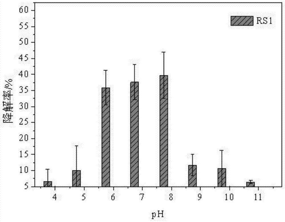 A kind of oil-degrading bacteria in oily sludge and its application