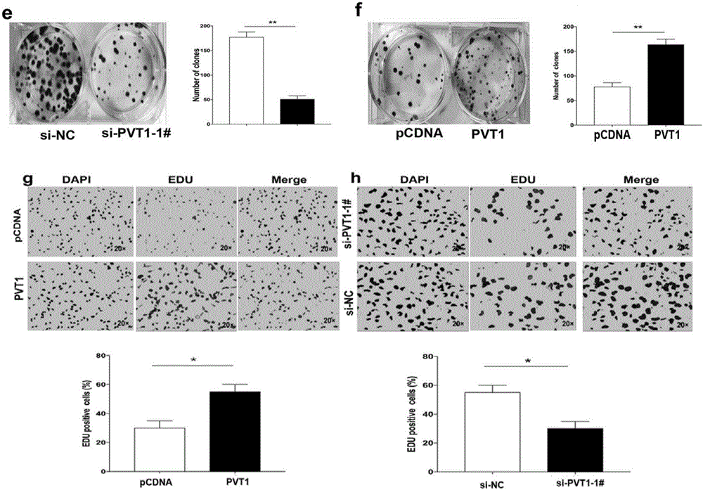 Long non-coding RNA (Ribonucleic Acid) and application thereof in diagnosis/treatment of preeclampsia