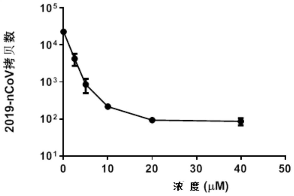 Application of 4-aminoquinoline compound