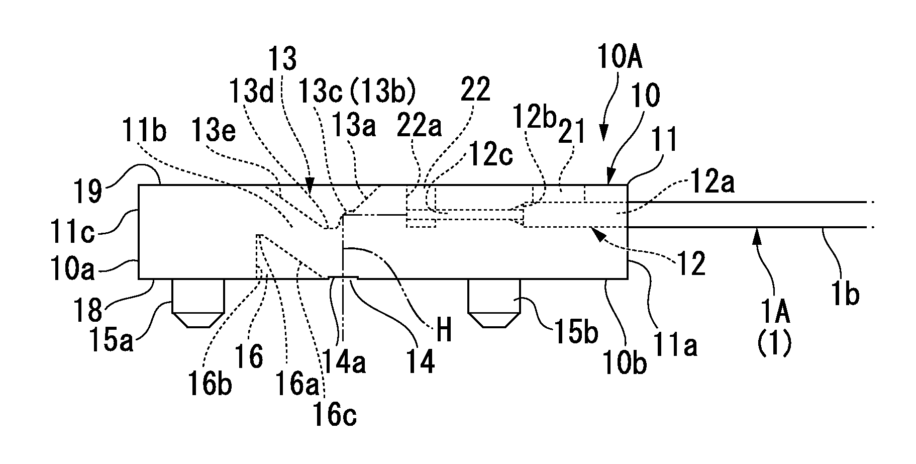 Ferrule and optical-fiber-attached ferrule