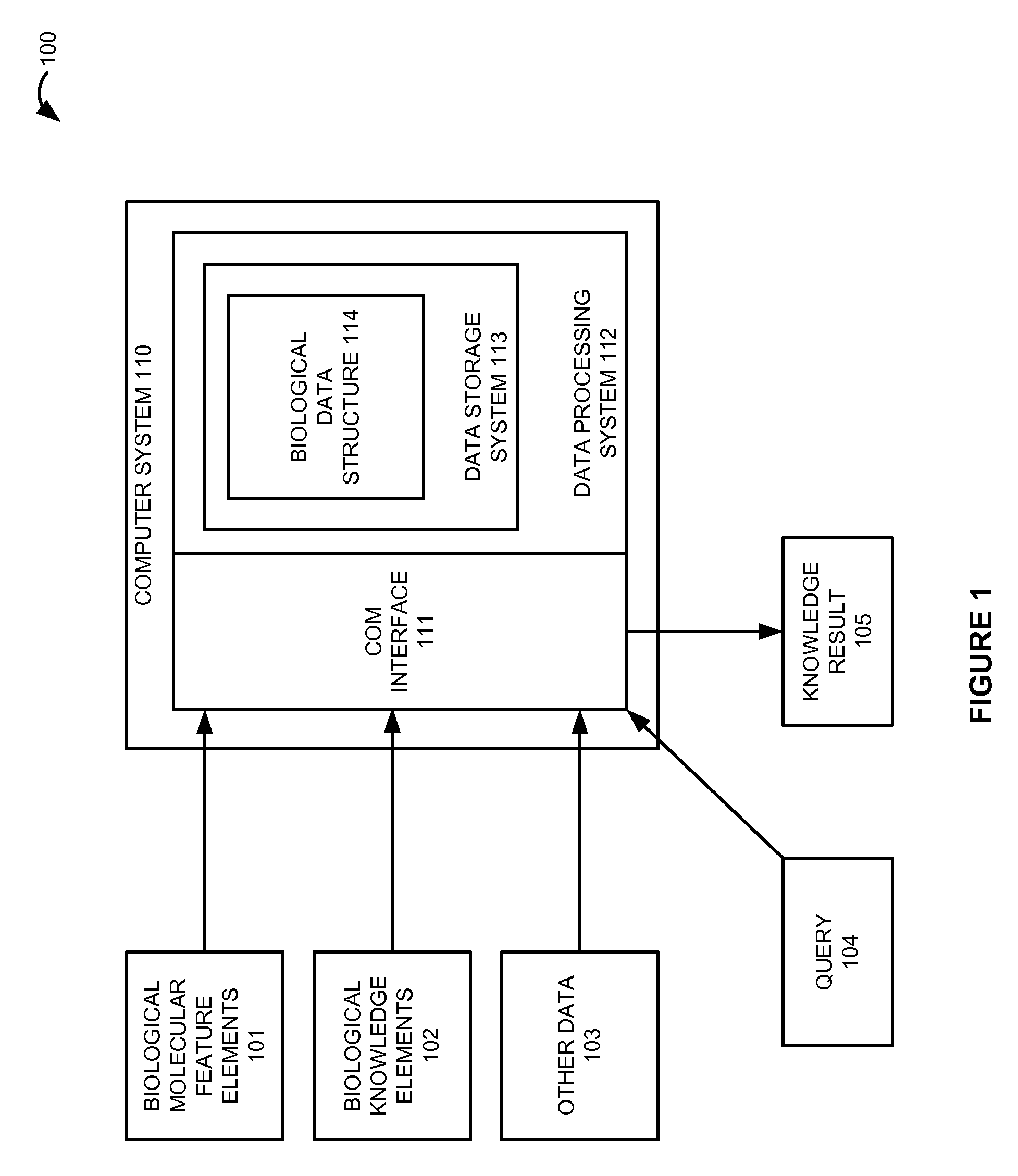 Biological data structure having multi-lateral, multi-scalar, and multi-dimensional relationships between molecular features and other data