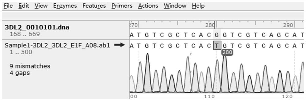 KIR3DL2 genotyping kit and KIR3DL2 genotyping method