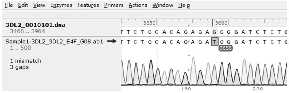 KIR3DL2 genotyping kit and KIR3DL2 genotyping method