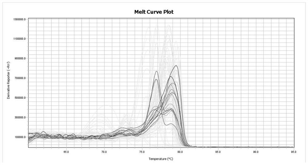 Colorectal Cancer Molecular Marker Combination, Its Application, Primer Set and Detection Kit