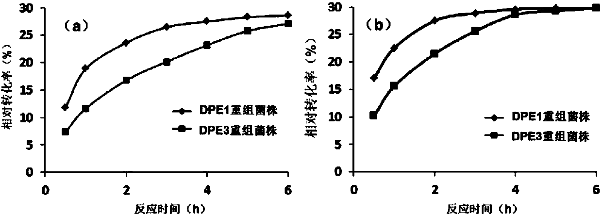 Method for efficiently preparing D-psicose 3-epimerase and use of D-psicose 3-epimerase