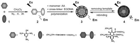 A preparation method of molecularly imprinted polymer microspheres for the detection of 2,4,6-trinitrophenol