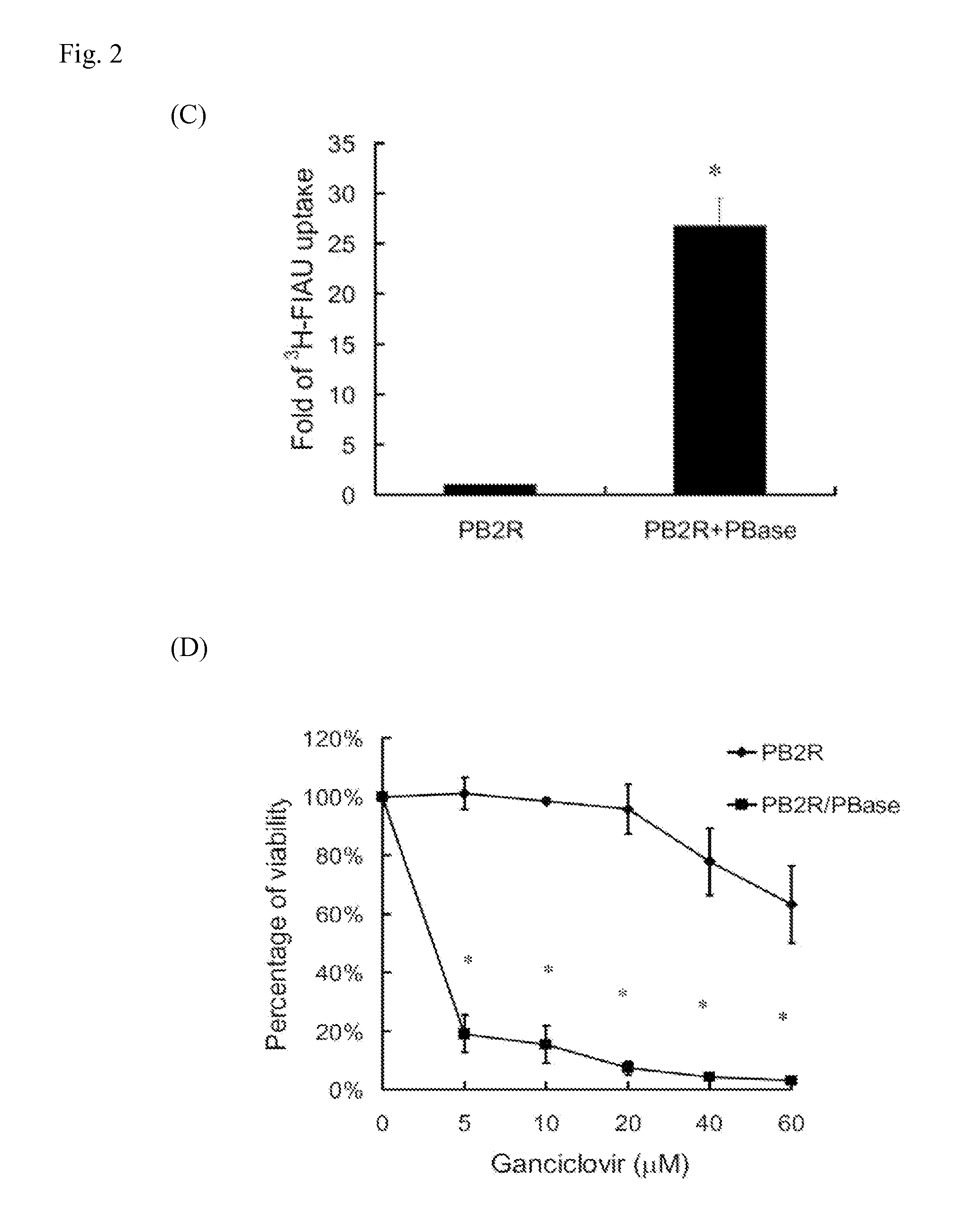 Methods for in vivo identification of cancer initiating cells by multimodality reporter gene imaging