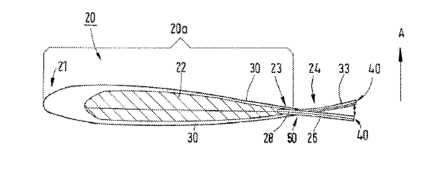 Rotor blade for a rotary wing aircraft