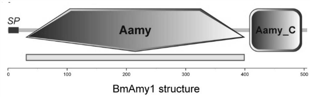Application and method of bombyx mori amylase gene BmAmy1
