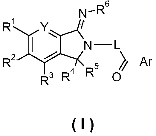 5,5-disubstituted-2-imino-pyrrolidine derivatives, preparation methods and pharmaceutical uses thereof