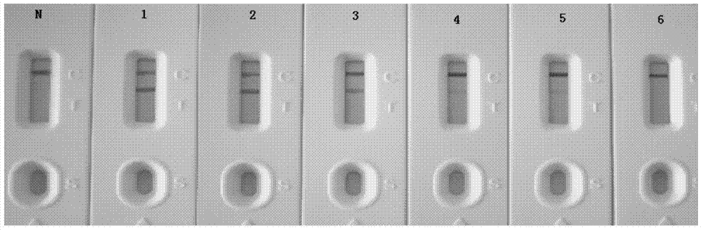 Test paper for detecting borrelia burgdorferi antibodies, test paper preparation method and kit