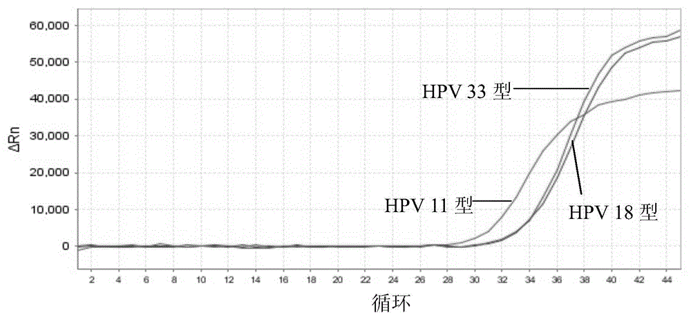 Nucleic acid detection kit for human papilloma virus, use method and application thereof