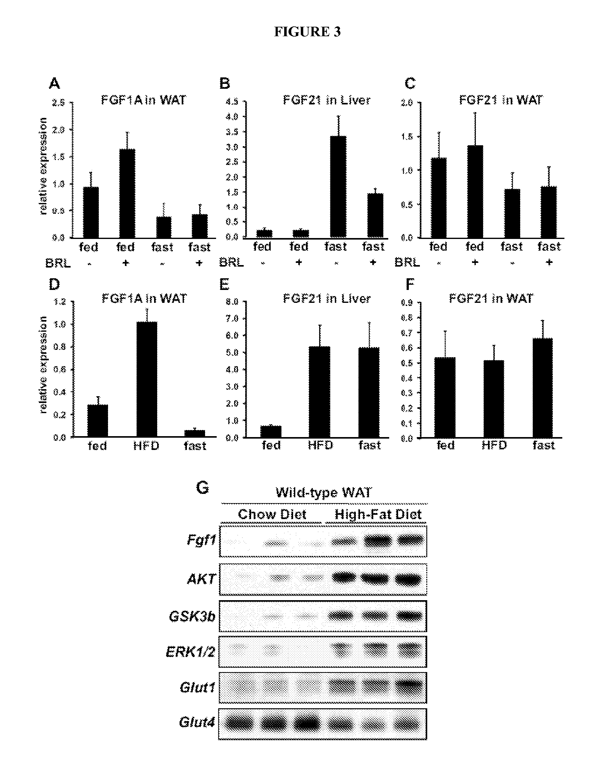 Methods for treating metabolic disorders using fgf