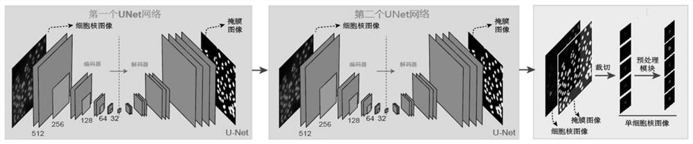 A method for high-throughput screening of DNA damage response inhibitors