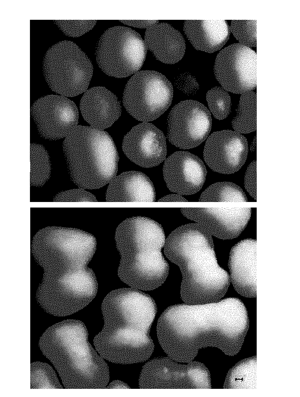 An oral pharmaceutical formulation comprising sustained-release granules containing tamsulosin hydrochloride