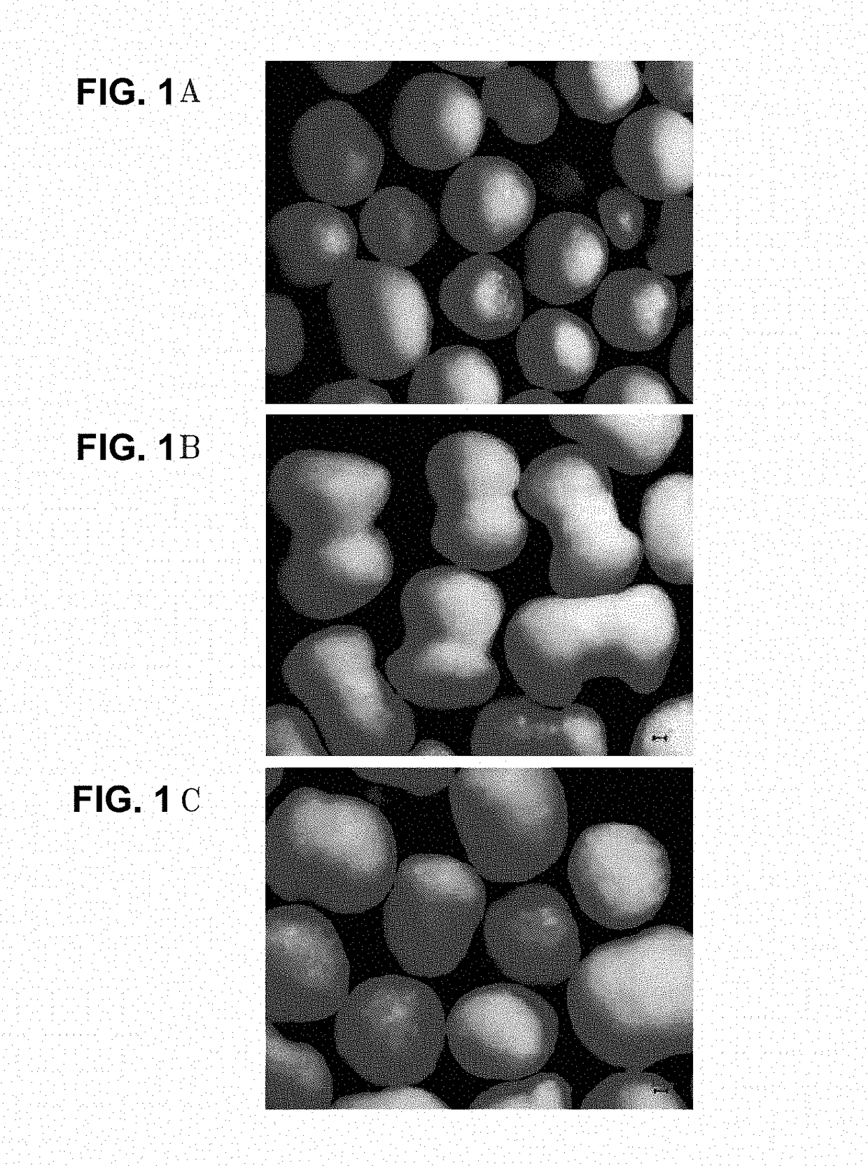 An oral pharmaceutical formulation comprising sustained-release granules containing tamsulosin hydrochloride