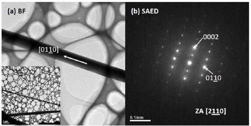 Method for preparing aluminum nitride single crystal whiskers