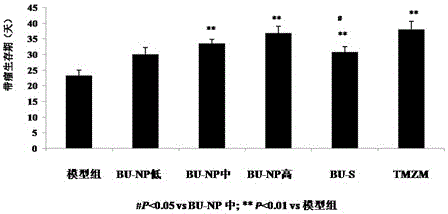 Application of bufotoxin extract in preparation of medicine for treating human brain glioma