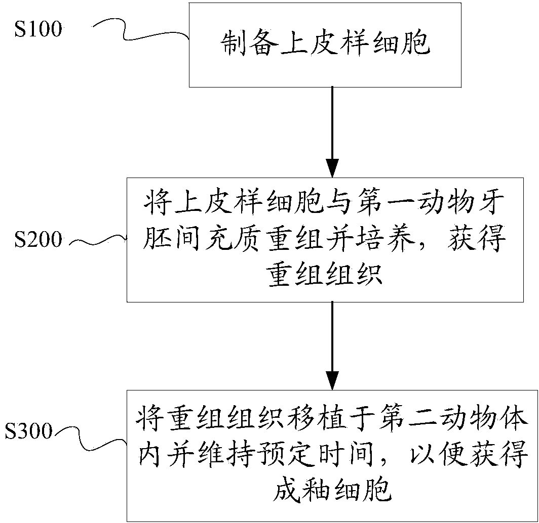Culture medium and application thereof