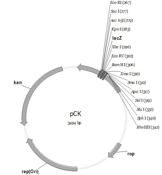 PC series plasmid as well as construction method and application thereof