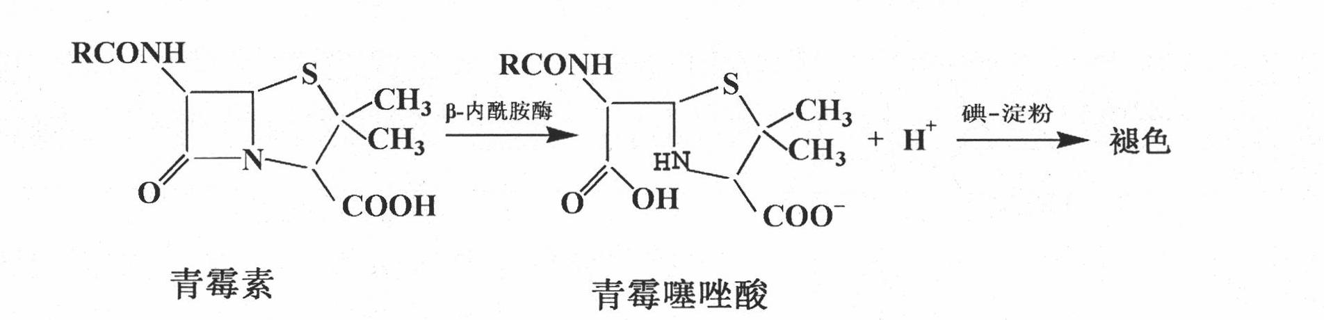 Detection of beta-lactamase in milk and milk products by iodometry