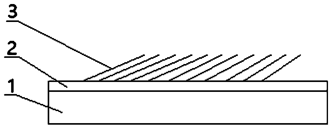 Lithium ion battery negative electrode and preparation method thereof