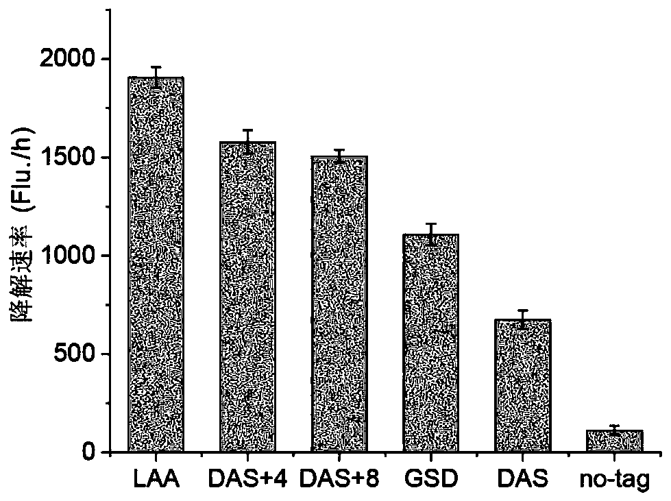 Protein delayed expression switch and application thereof in production of glucaric acid