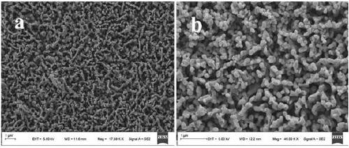 A kind of bismuth vanadate composite material loaded with magnetic nanoparticles and its preparation and application