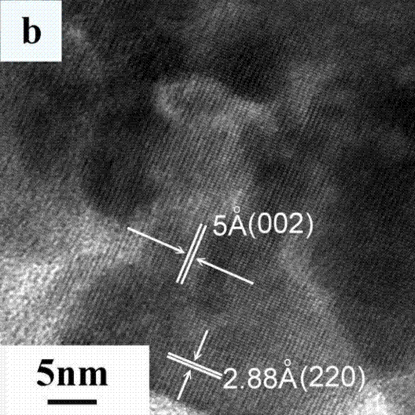 Method for preparing nano silver particles by using plant extract for reduction, and application of method