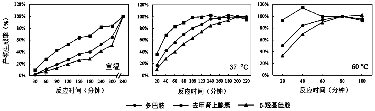 A detection method for the determination of monoamine neurotransmitters based on derivatization