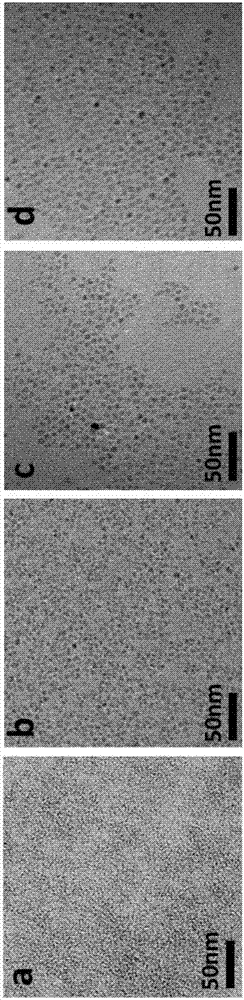 InP/ GaP/ ZnS nucleocapsid quantum dots and preparation method thereof