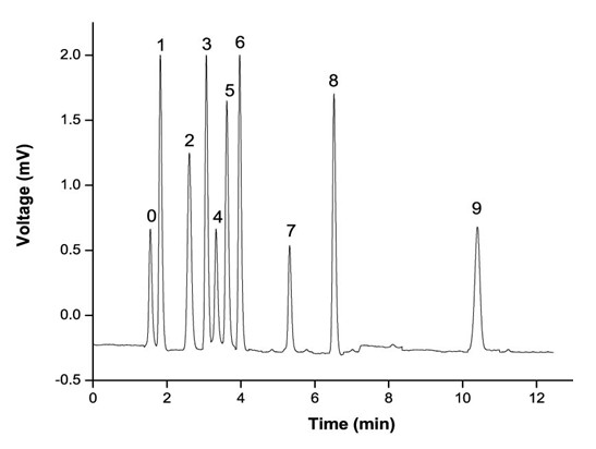 Multi-action mode hydrophilic organic polymer monolithic column