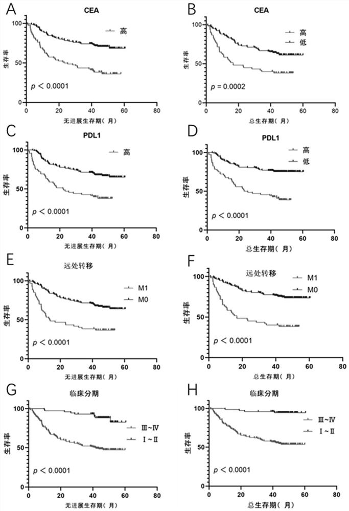 Marker group for predicting prognosis of gastric cancer