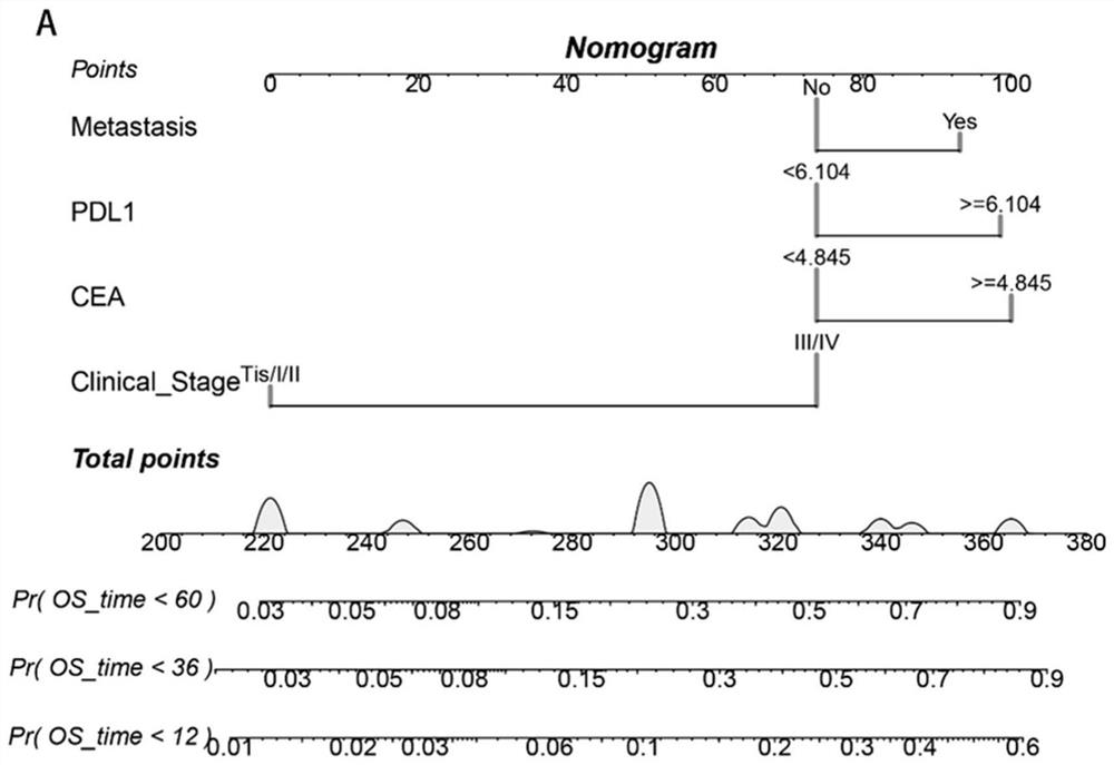 Marker group for predicting prognosis of gastric cancer