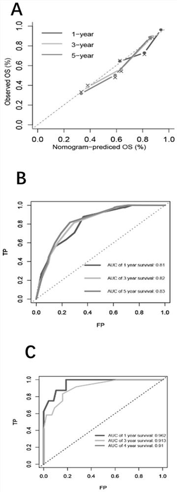 Marker group for predicting prognosis of gastric cancer