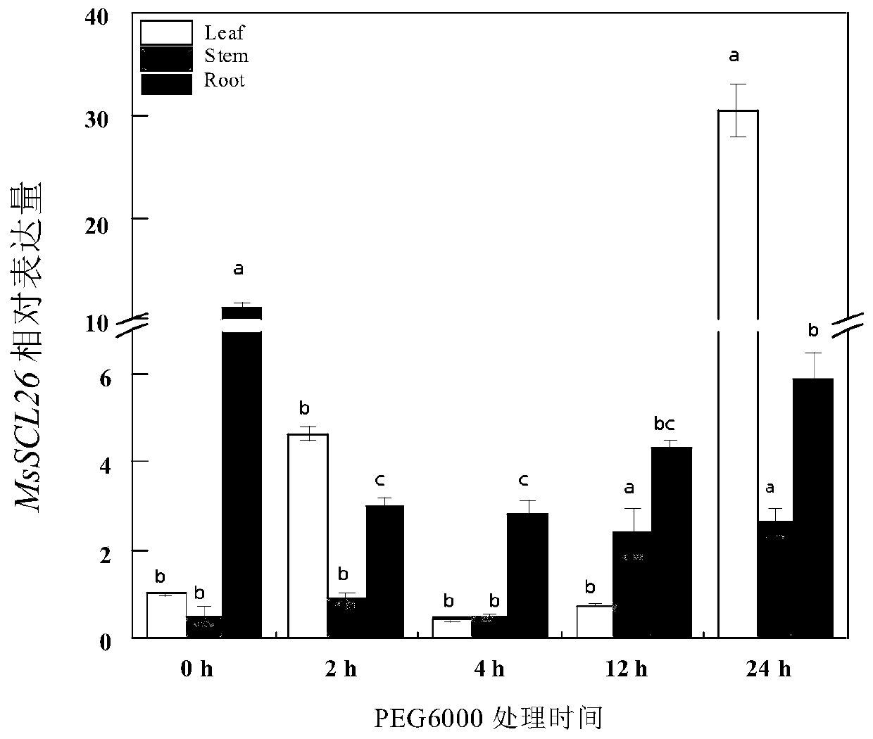 Application of plant water stress resistance related protein derived from malus sieversiana and coding gene