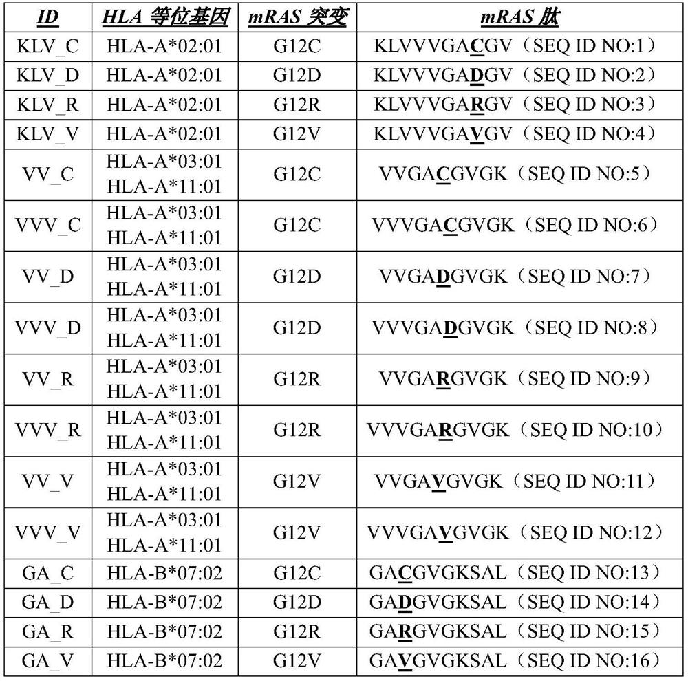 Compositions and methods for targeting mutant ras