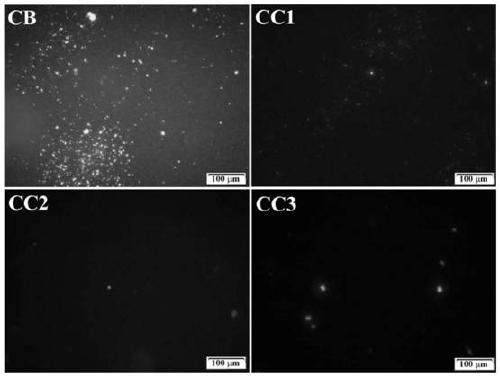 Antibacterial and anti-corrosion capsaicine composite ZnO/Zn coating layer as well as preparation and application thereof