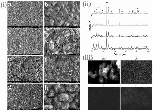 Antibacterial and anti-corrosion capsaicine composite ZnO/Zn coating layer as well as preparation and application thereof