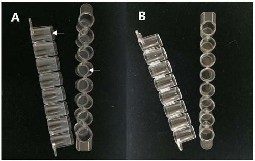 Cell culture plate for analyzing biological function of bone