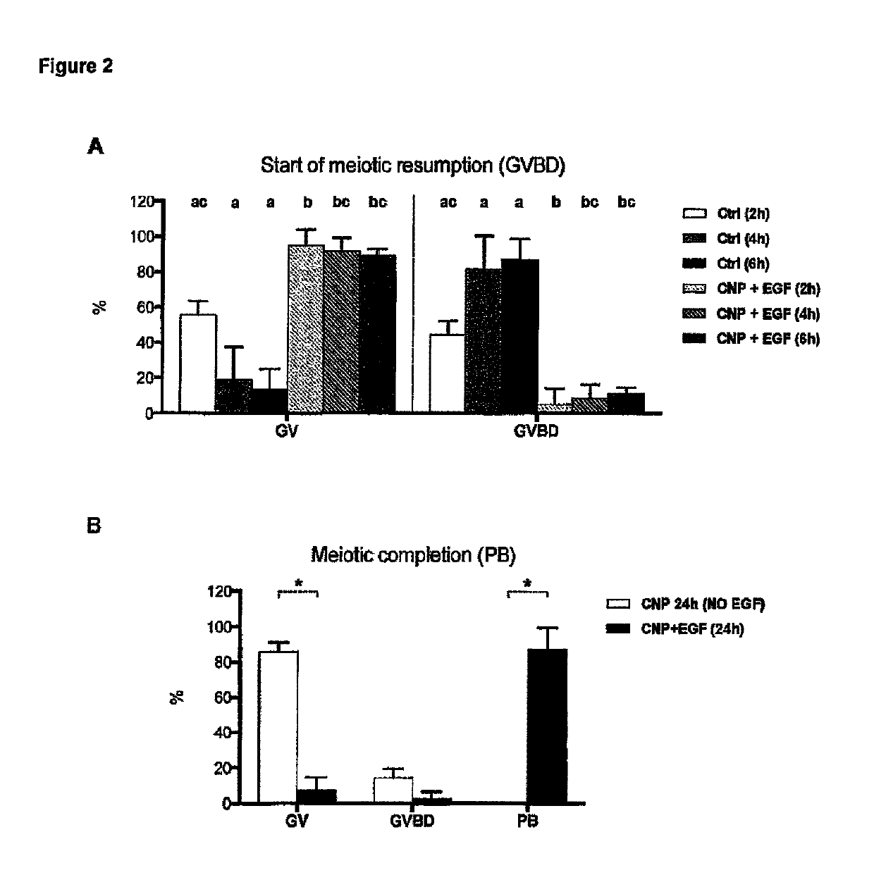 In Vitro maturation of a mammalian cumulus oocyte complex