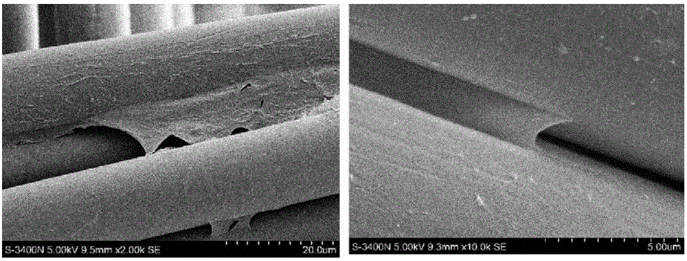 Method for raising biocompatibility of polyester fiber artificial ligament by graphene modification