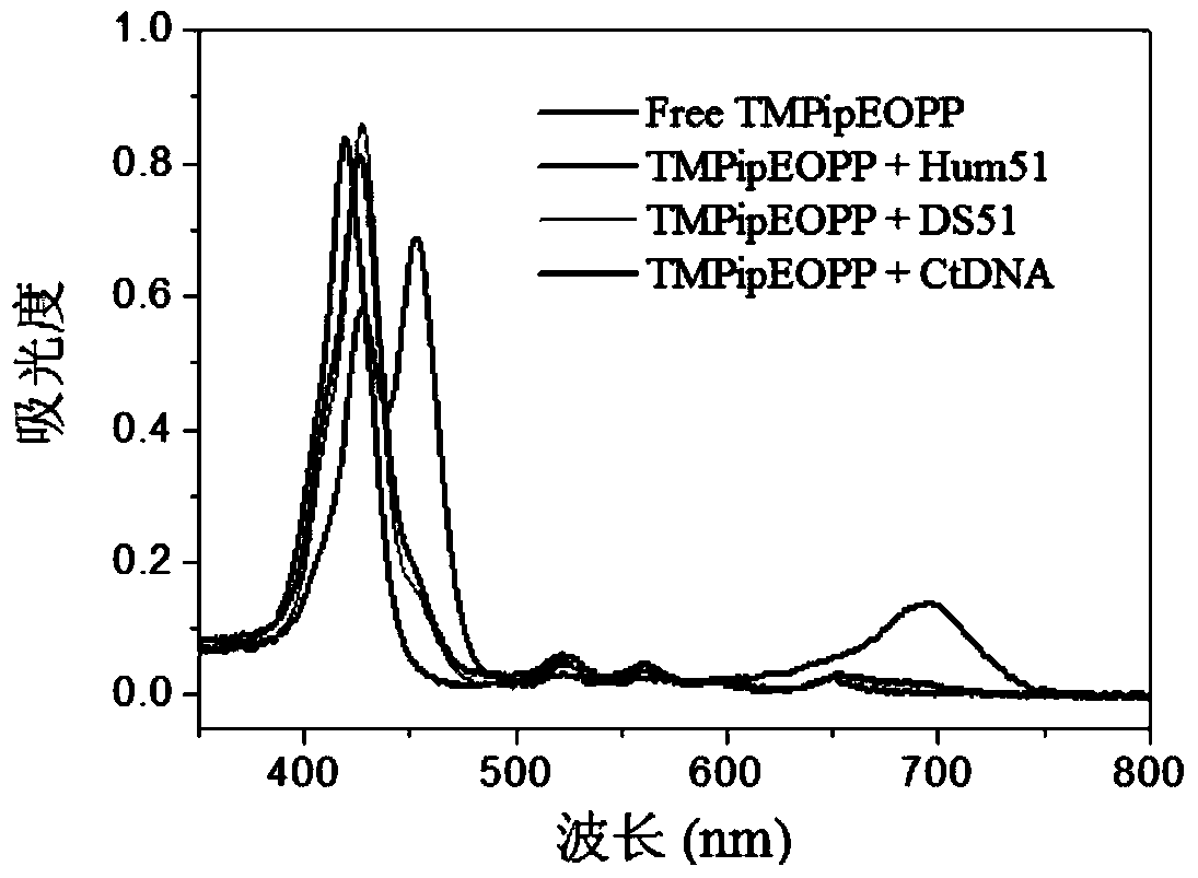 Application of a water-soluble porphyrin in the preparation of photodynamic therapy drugs